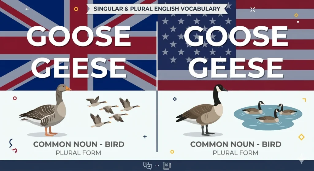goose or geese